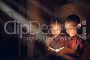 Buddhist novice monks reading in monastery