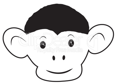 The head of the monkey The head of the monkey