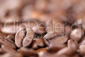 Kaffeebohnen Kaffee Bohnen mit Textfreiraum