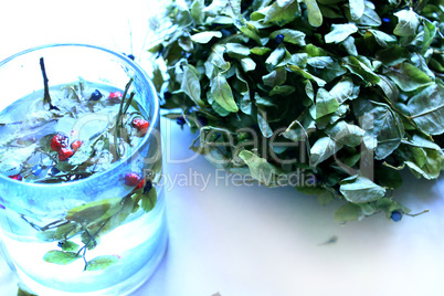 tea from leaves and berries of bilberry and schisandra