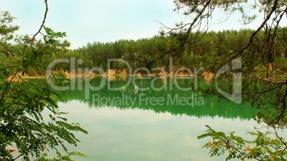 beautiful lake in the forest