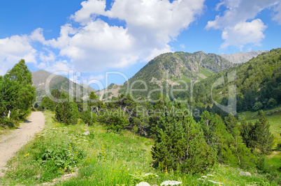 scenic mountains, meadows and blue sky