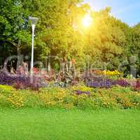 summer park with beautiful flowerbeds