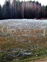 Field with snow