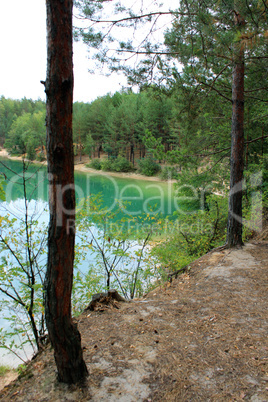 beautiful lake in the forest