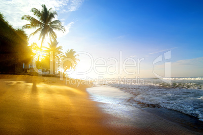 Beach near the ocean