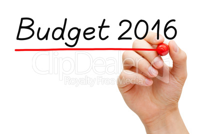 Budget Year 2016