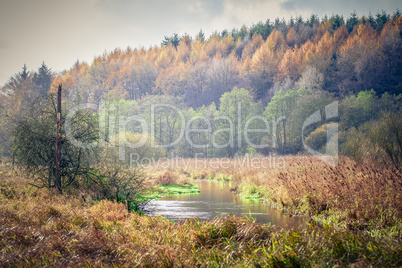 Die Eider im Herbst