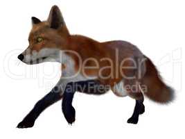 Red fox running - 3D render
