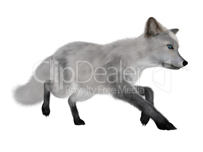 White fox running - 3D render