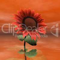 Beautiful red sunflower - 3D render