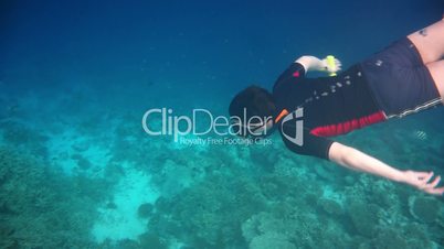 Snorkeler diving along the brain coral