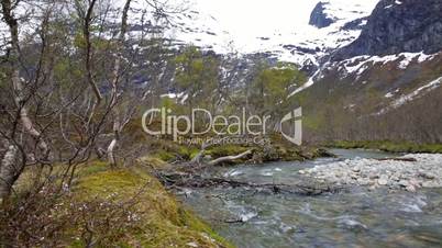 Stream from the glacier