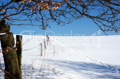 Schnee bedeckter Hang mit Zaun und Baum