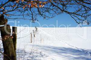 Schnee bedeckter Hang mit Zaun und Baum