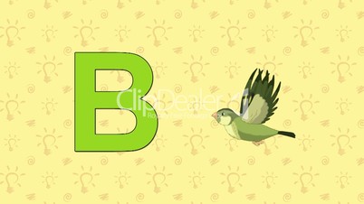Bird. English ZOO Alphabet - letter B