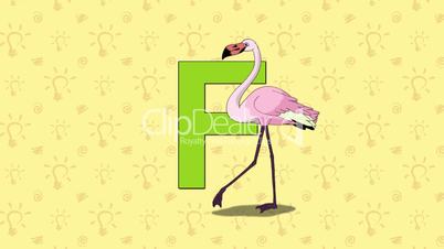 Flamingo. English ZOO Alphabet - letter F