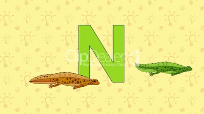 Newt. English ZOO Alphabet - letter N