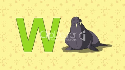 Walrus. English ZOO Alphabet - letter W
