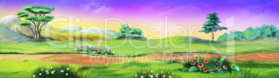 Panorama Landscape with trees and flowers. Image 01