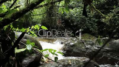 Kleiner Wasserfall im Dschungel von Boquete, Panama