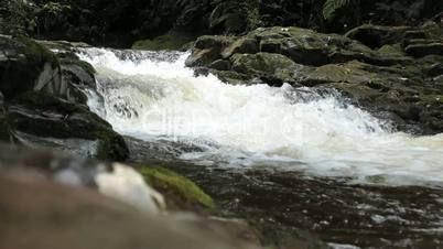 kleiner Fluss im Dschungel, Panama
