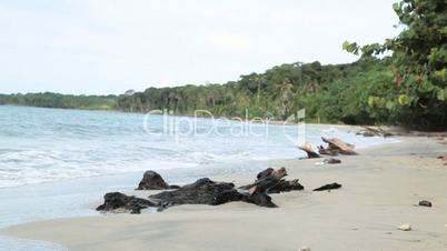 Einsamer Strand mit Treibholz in Costa Rica