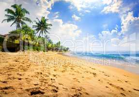 Sunlight over beach