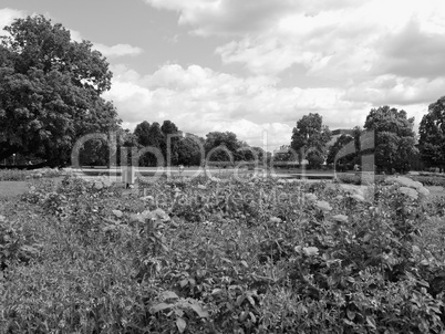 Gardens in Stuttgart Germany