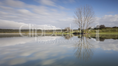 reflection of the sky