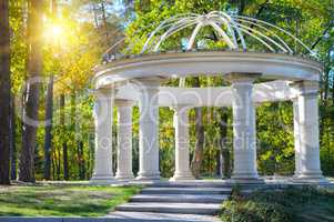 beautiful gazebo in autumn park