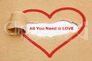 All You Need is Love Torn Paper