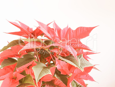 Retro looking Poinsettia Christmas star