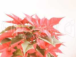 Retro looking Poinsettia Christmas star