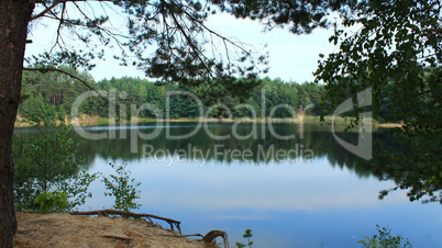 lake in the forest