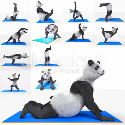 yoga animal sport panda training excersice set