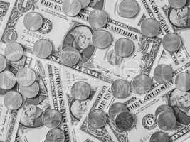 Black and white Dollar coins and notes