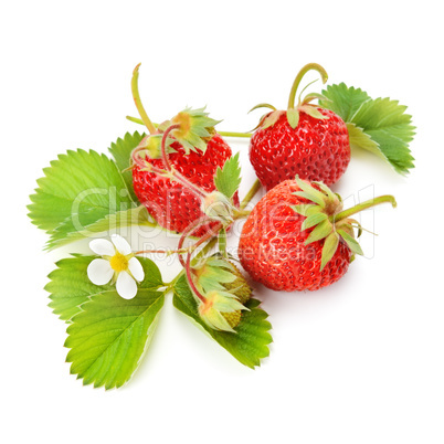 strawberries and green leaves isolated on white background