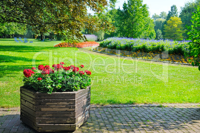 summer park with beautiful flowerbeds