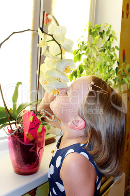 little girl smells orchid in the room