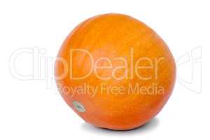 Large ripe pumpkin on a white background.