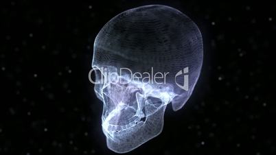 Grid of Human Skull