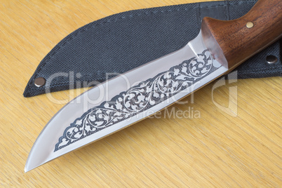 Beautiful hunting knife and a case for the knife.