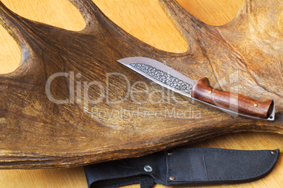 Hunting knife sheath and a trophy hunter - big elk horn.