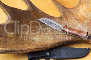 Hunting knife sheath and a trophy hunter - big elk horn.