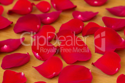 The red rose petals.