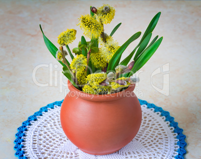 Blossoming branches of a willow in a ceramic vase