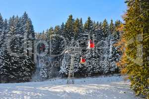 Gondelbahn führt durch Waldschneise