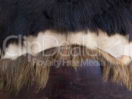 Close up of black,white and brown skinned  fur on a wooden b