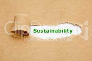 Sustainability Torn Paper Concept